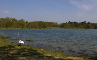 Boucle du lac de Gurson